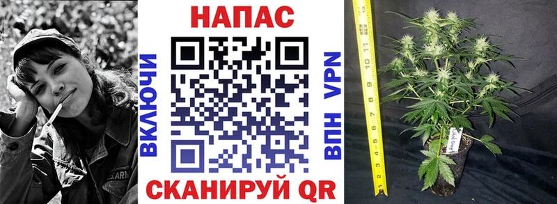 Бошки марихуана гибрид закладки Изобильный